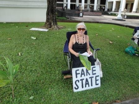Fake state sign